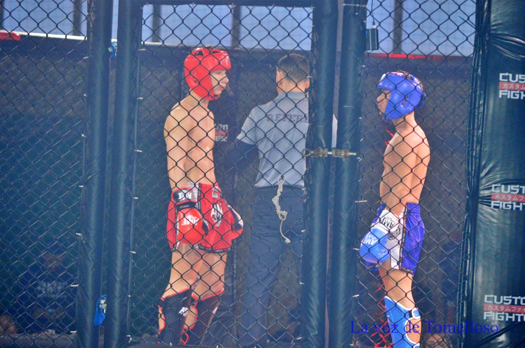 ob.imagen.Descripcion