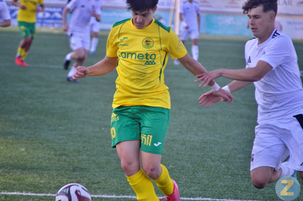 ob.imagen.Descripcion