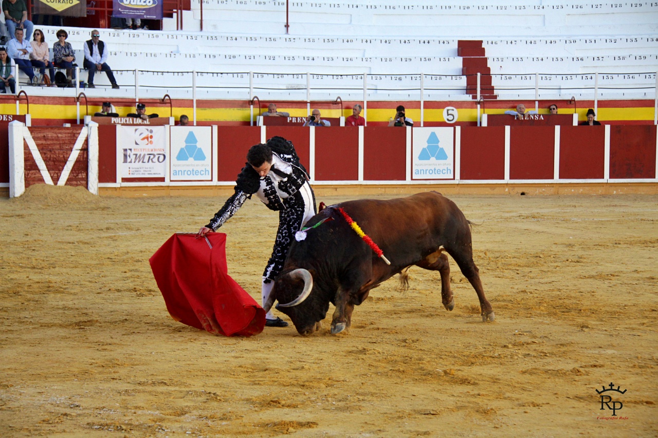ob.imagen.Descripcion