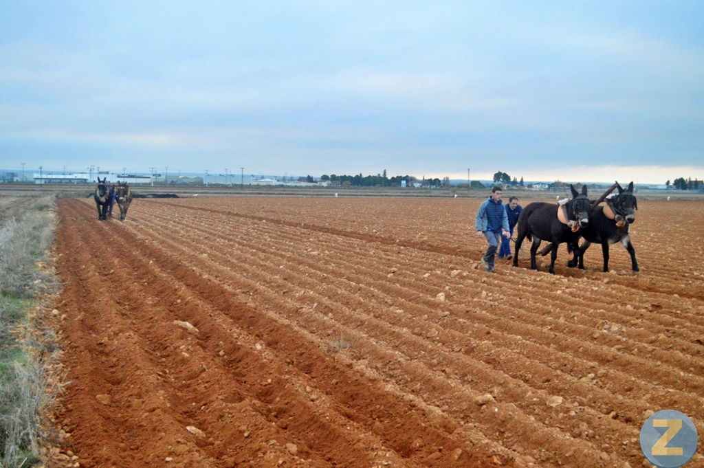 ob.imagen.Descripcion