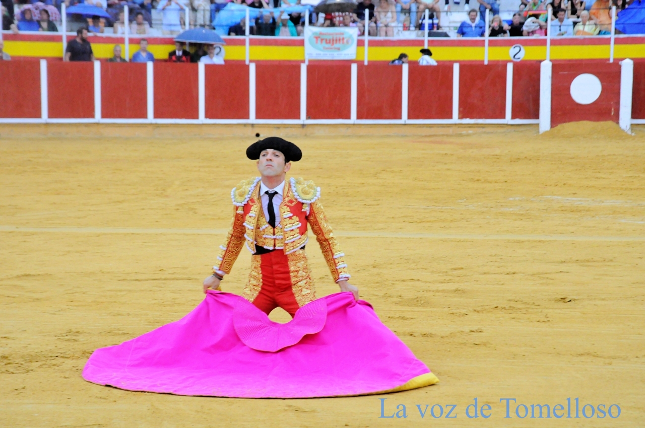 ob.imagen.Descripcion