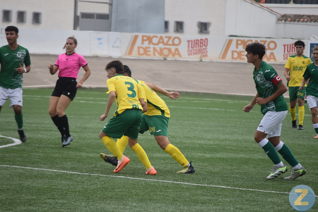 ob.imagen.Descripcion