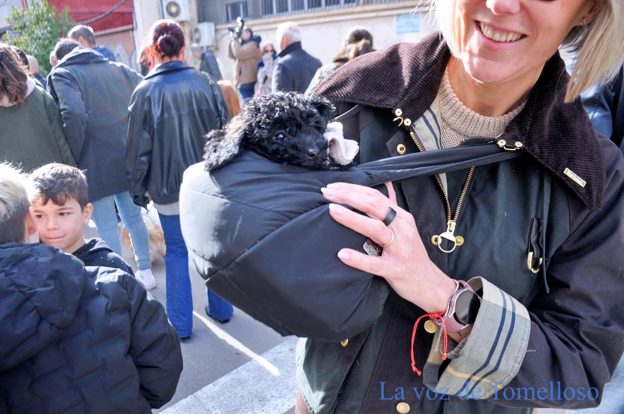 ob.imagen.Descripcion