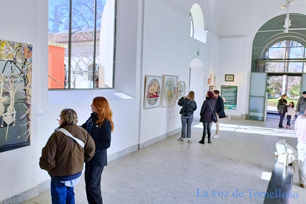 ob.imagen.Descripcion