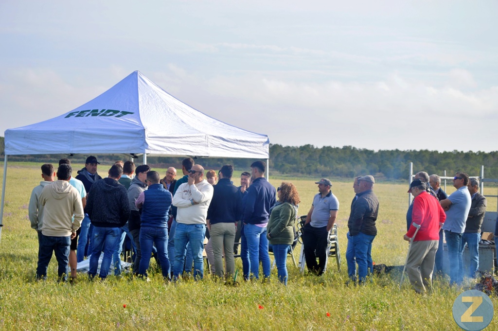 ob.imagen.Descripcion