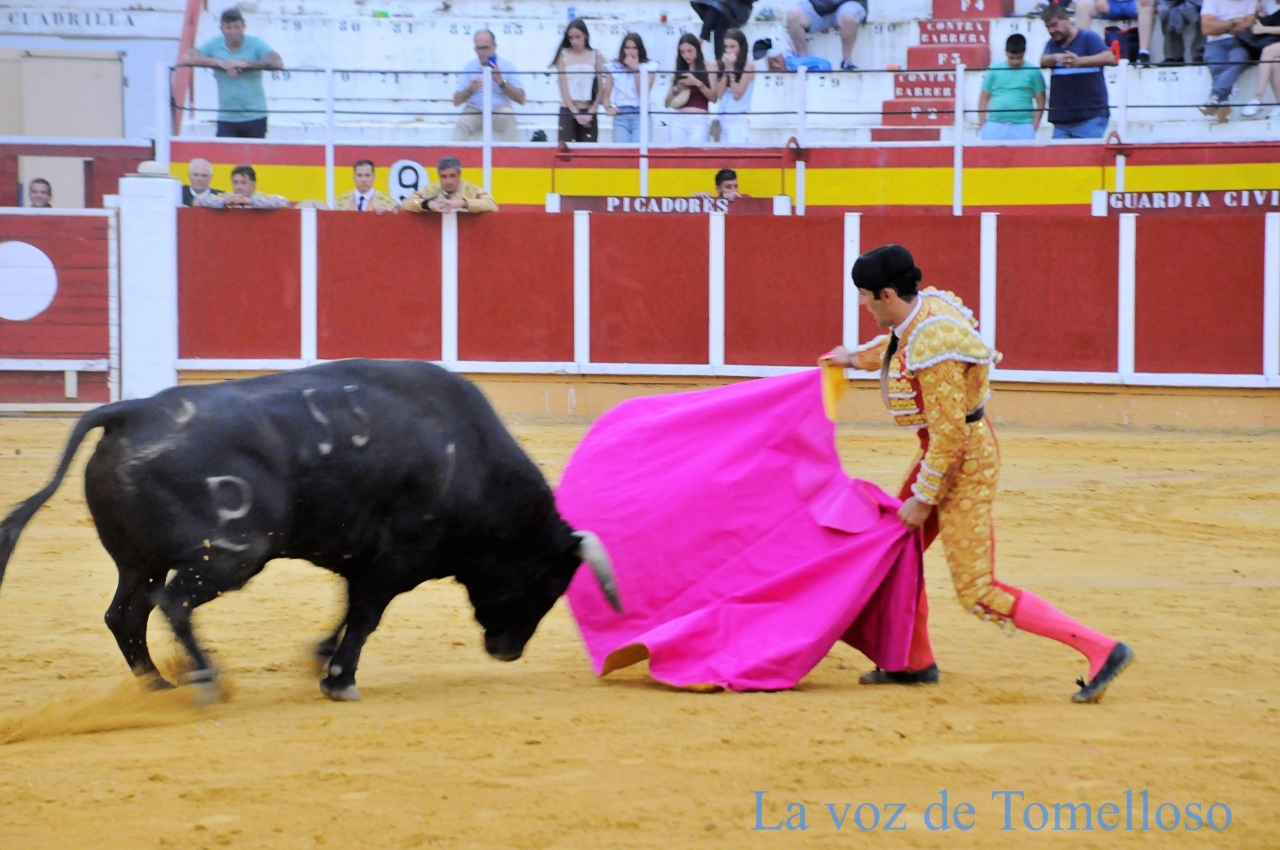 ob.imagen.Descripcion