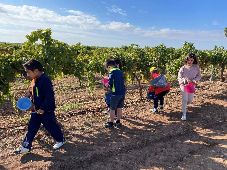 ob.imagen.Descripcion