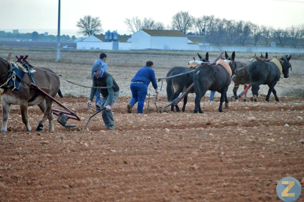ob.imagen.Descripcion