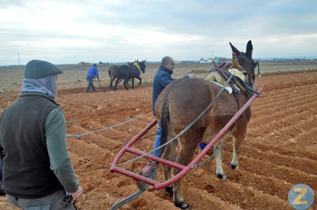 ob.imagen.Descripcion