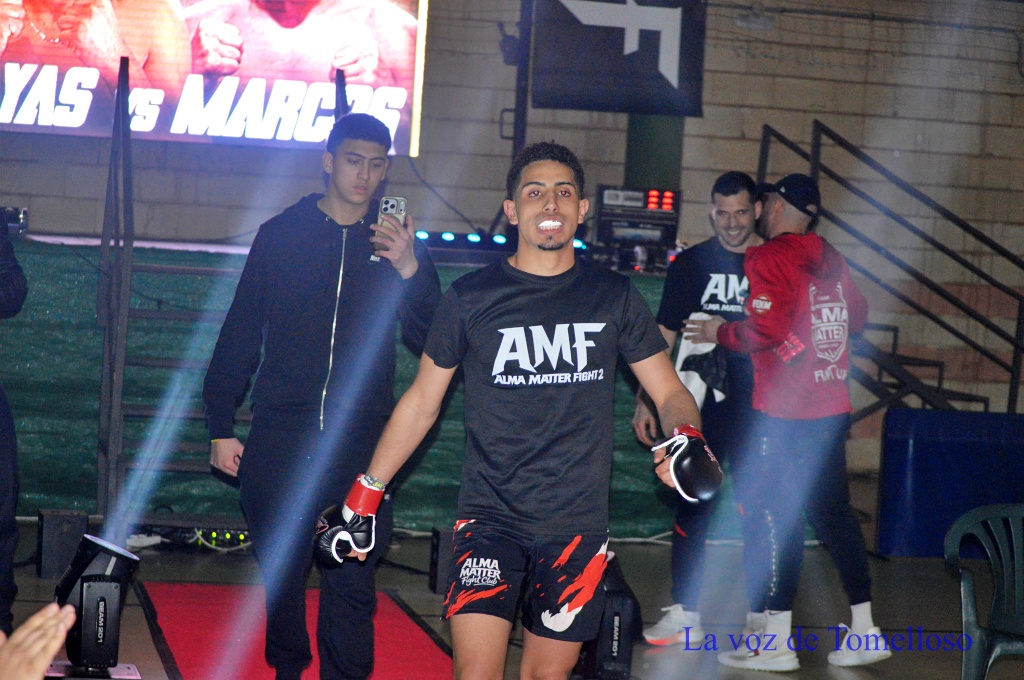 ob.imagen.Descripcion