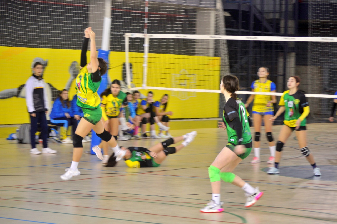 ob.imagen.Descripcion