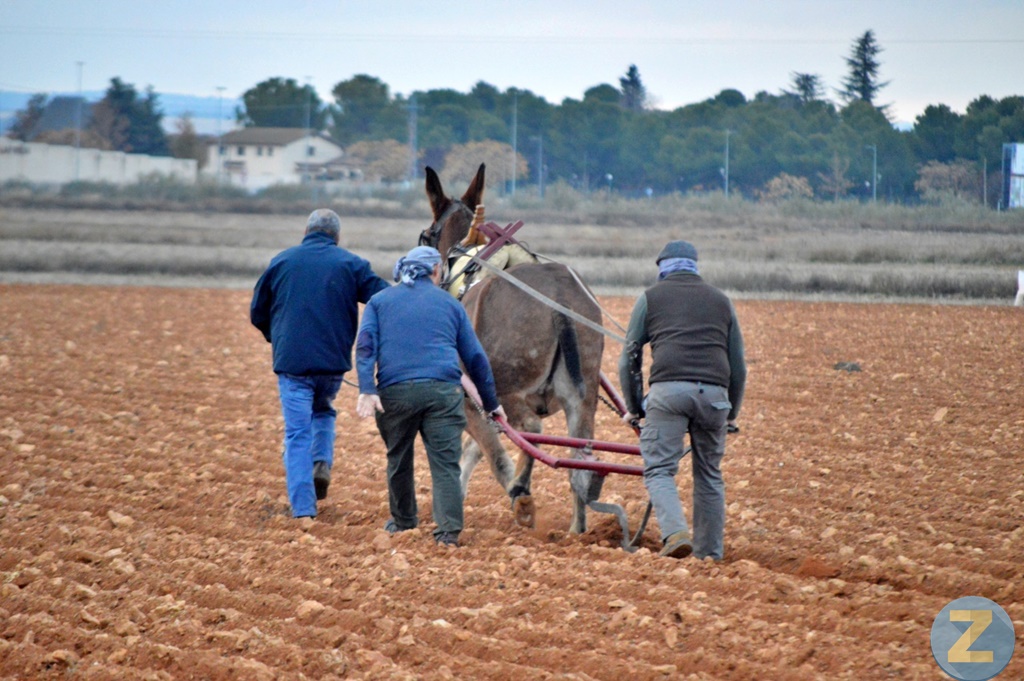 ob.imagen.Descripcion