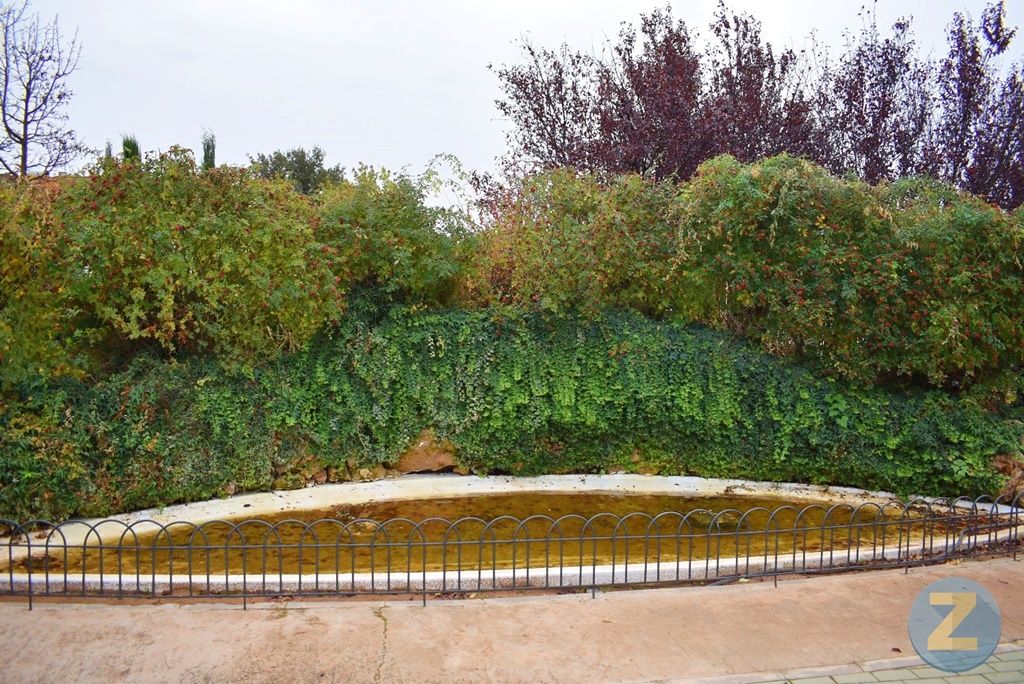 ob.imagen.Descripcion