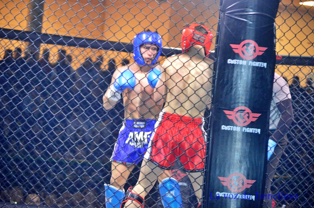 ob.imagen.Descripcion