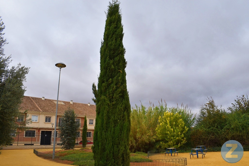 ob.imagen.Descripcion