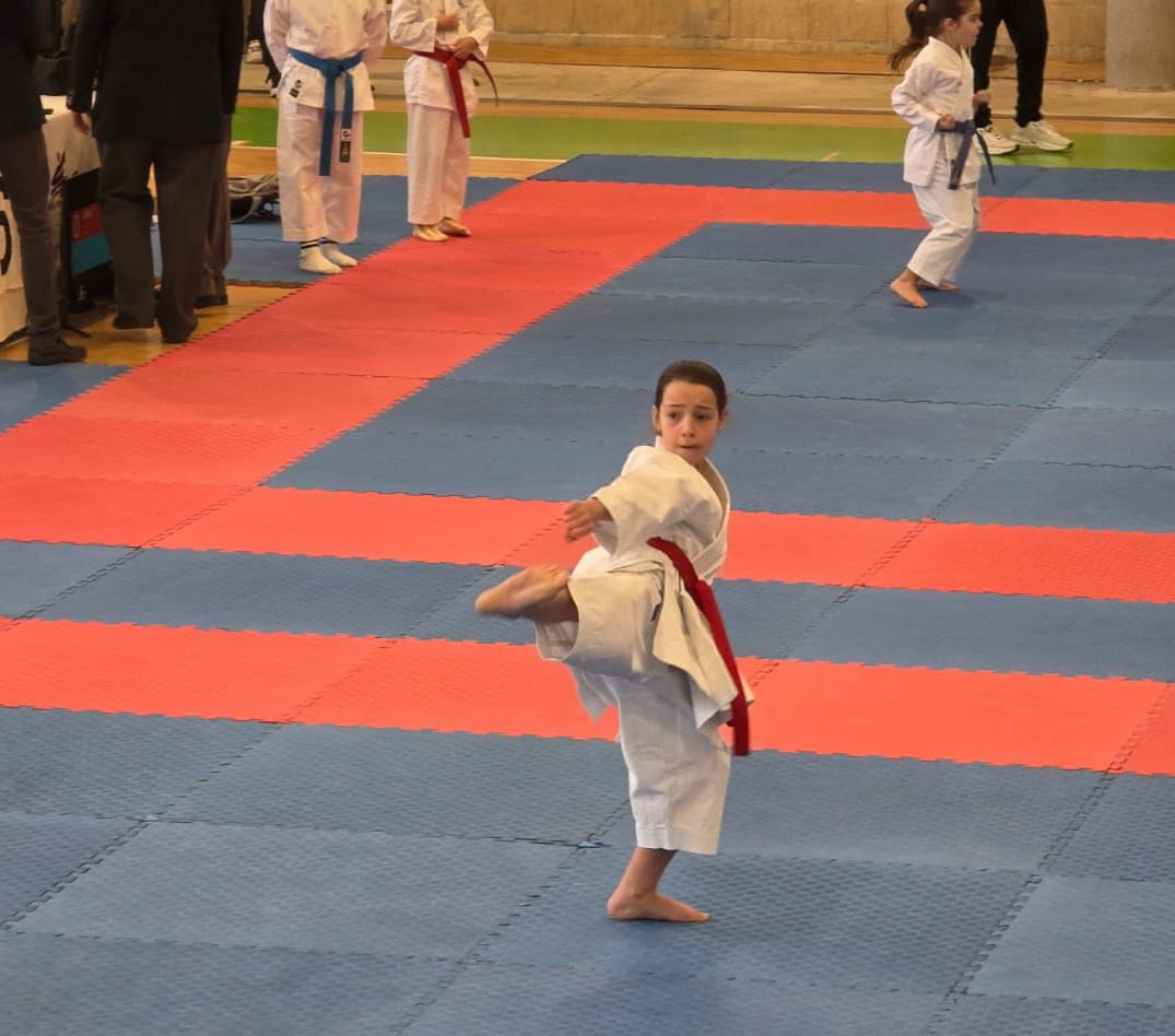 ob.imagen.Descripcion