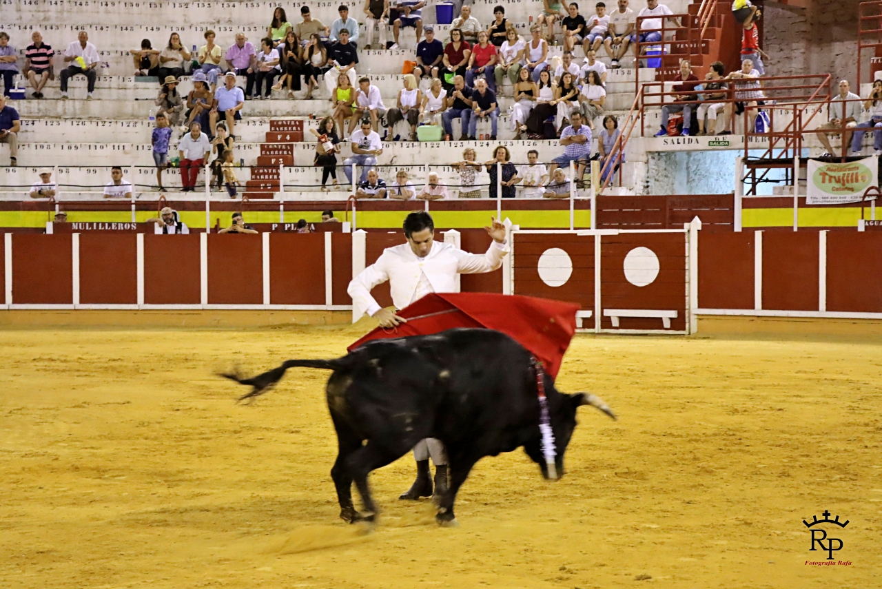 ob.imagen.Descripcion