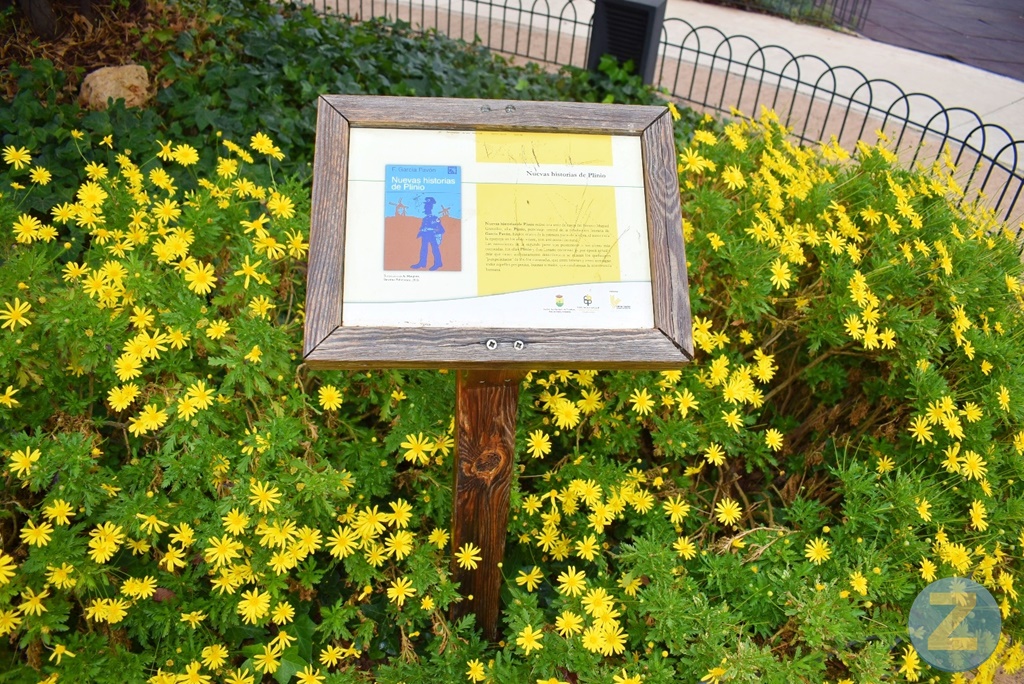 ob.imagen.Descripcion