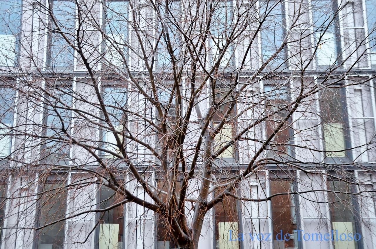 ob.imagen.Descripcion