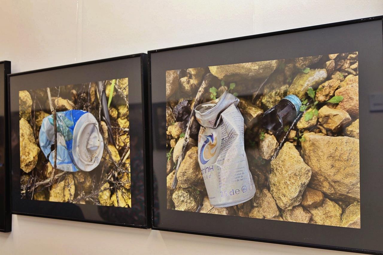 ob.imagen.Descripcion