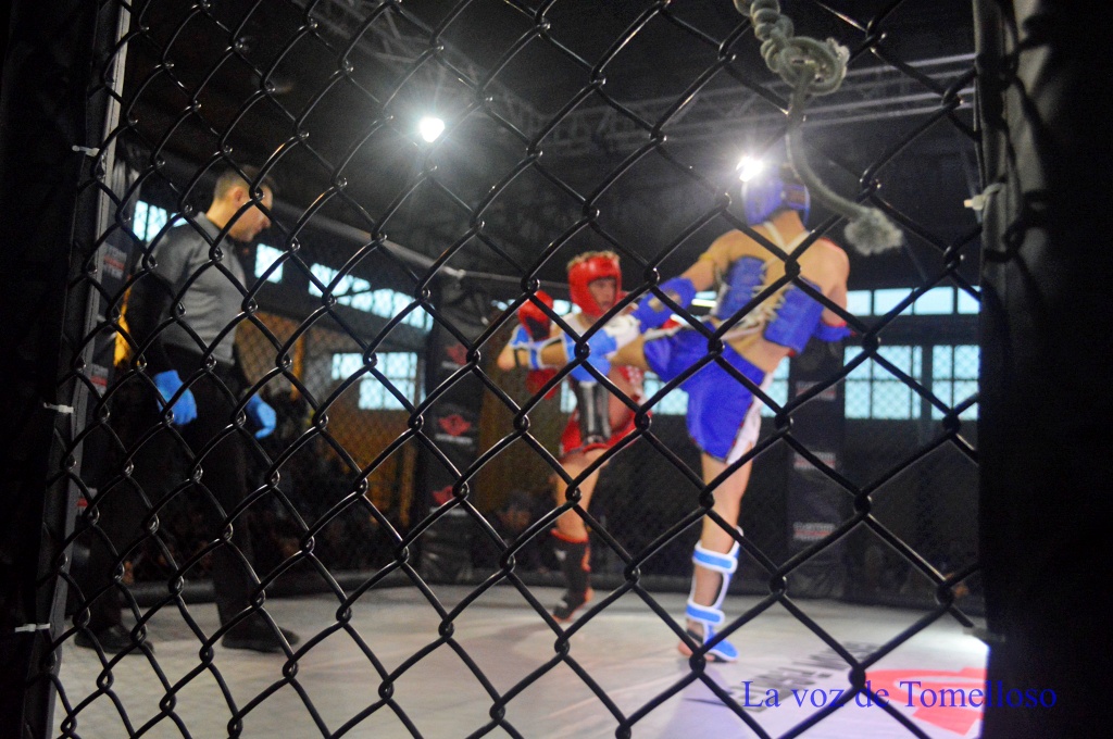 ob.imagen.Descripcion