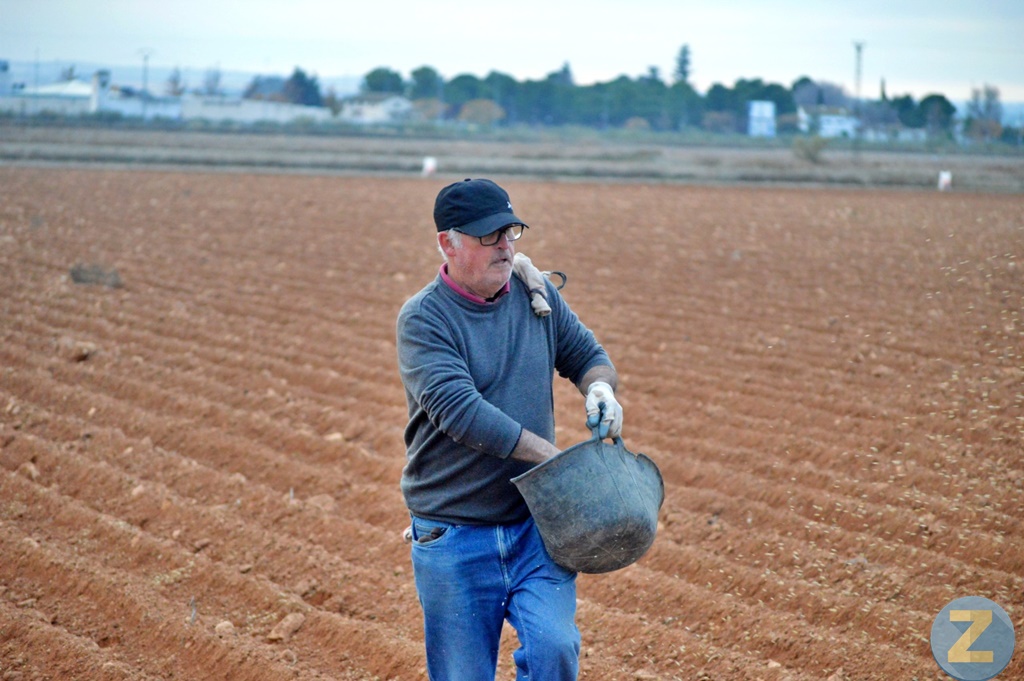 ob.imagen.Descripcion