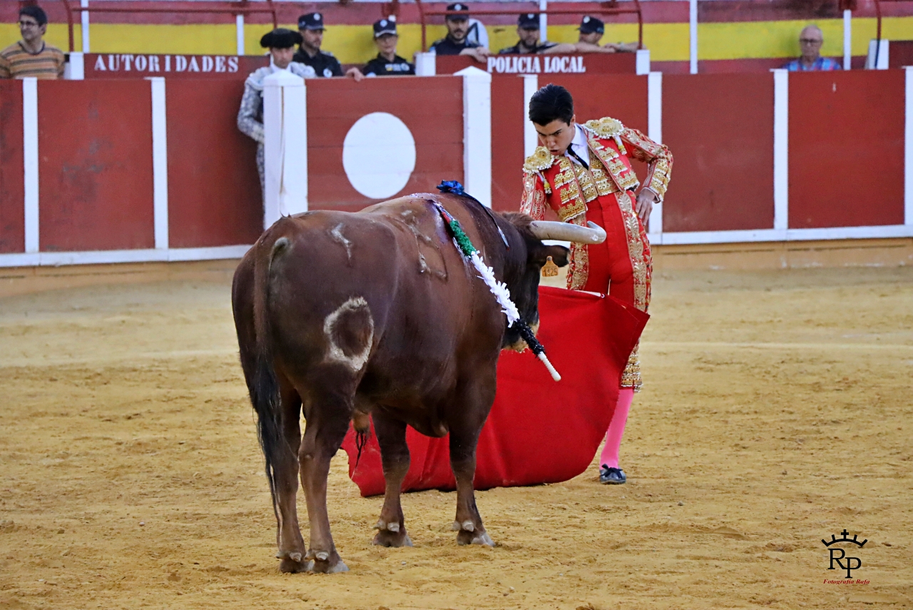 ob.imagen.Descripcion