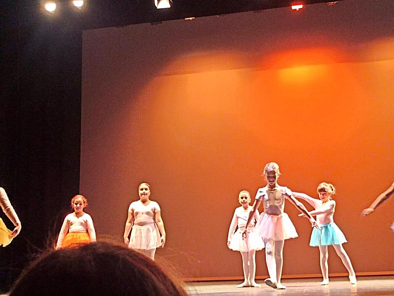 ob.imagen.Descripcion