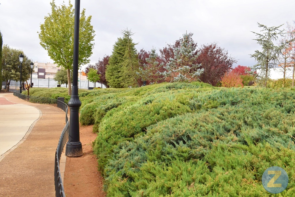 ob.imagen.Descripcion