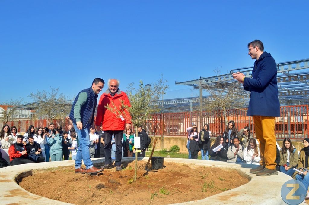 ob.imagen.Descripcion