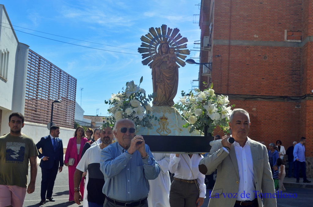 ob.imagen.Descripcion