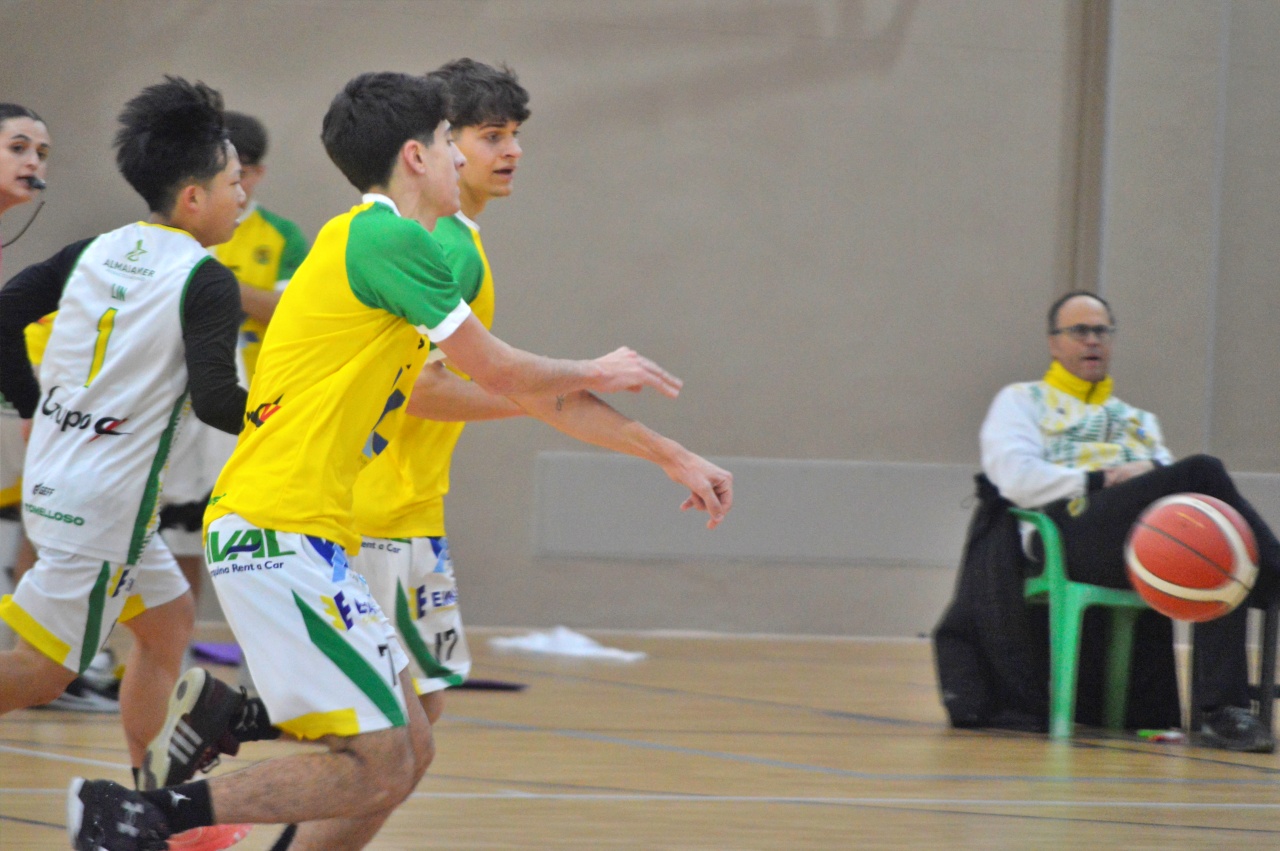 ob.imagen.Descripcion