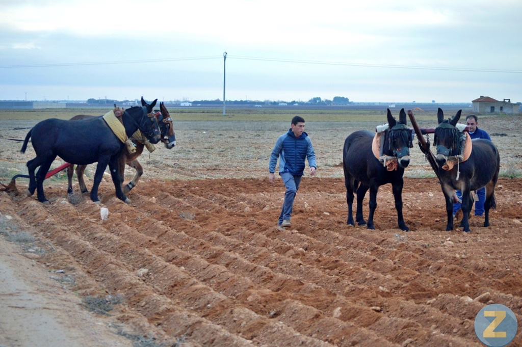 ob.imagen.Descripcion