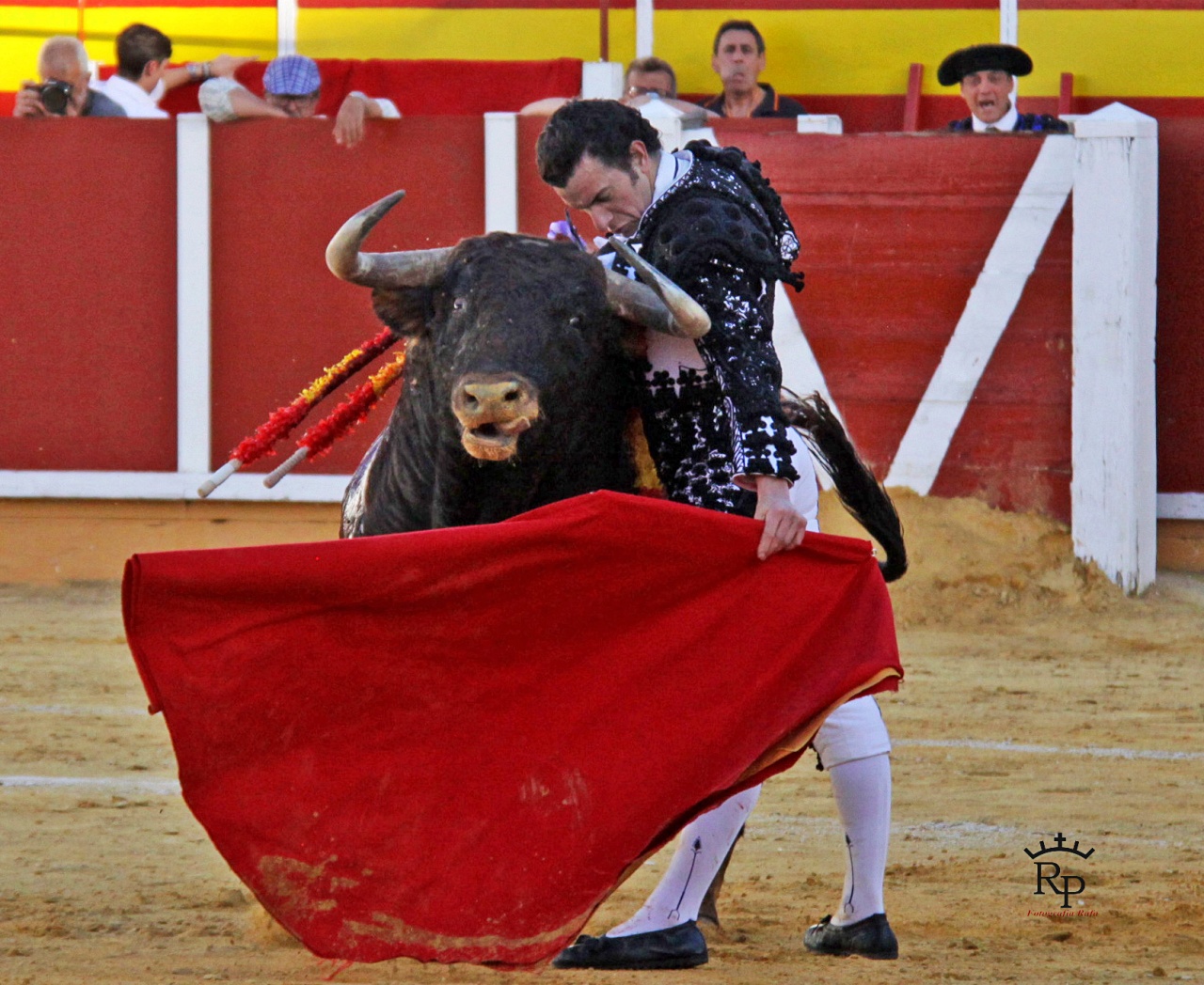 ob.imagen.Descripcion