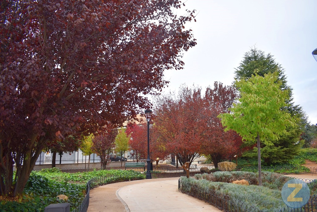 ob.imagen.Descripcion