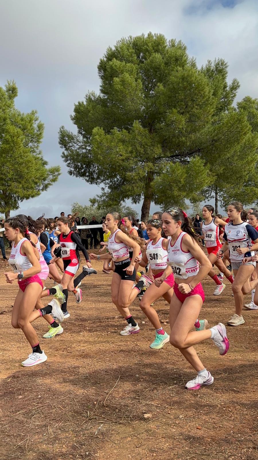 ob.imagen.Descripcion