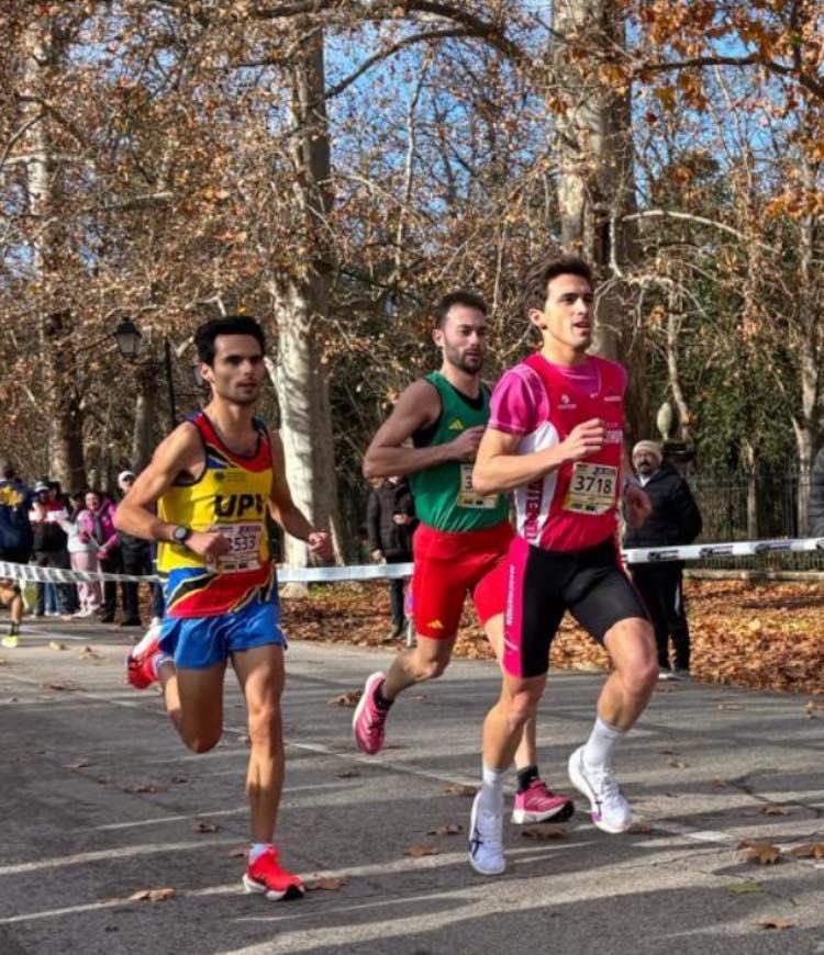 ob.imagen.Descripcion