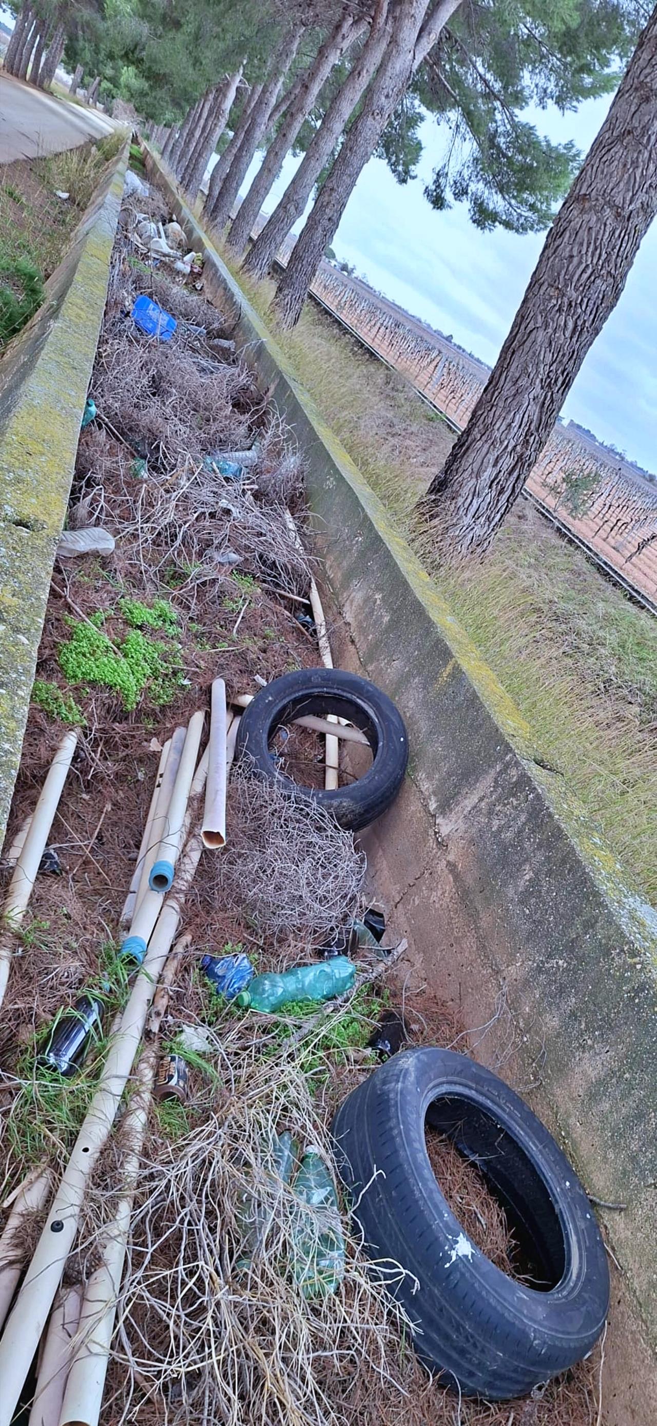 ob.imagen.Descripcion