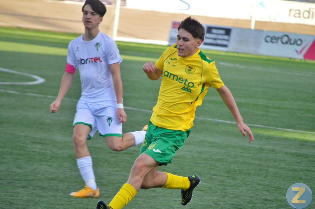 ob.imagen.Descripcion