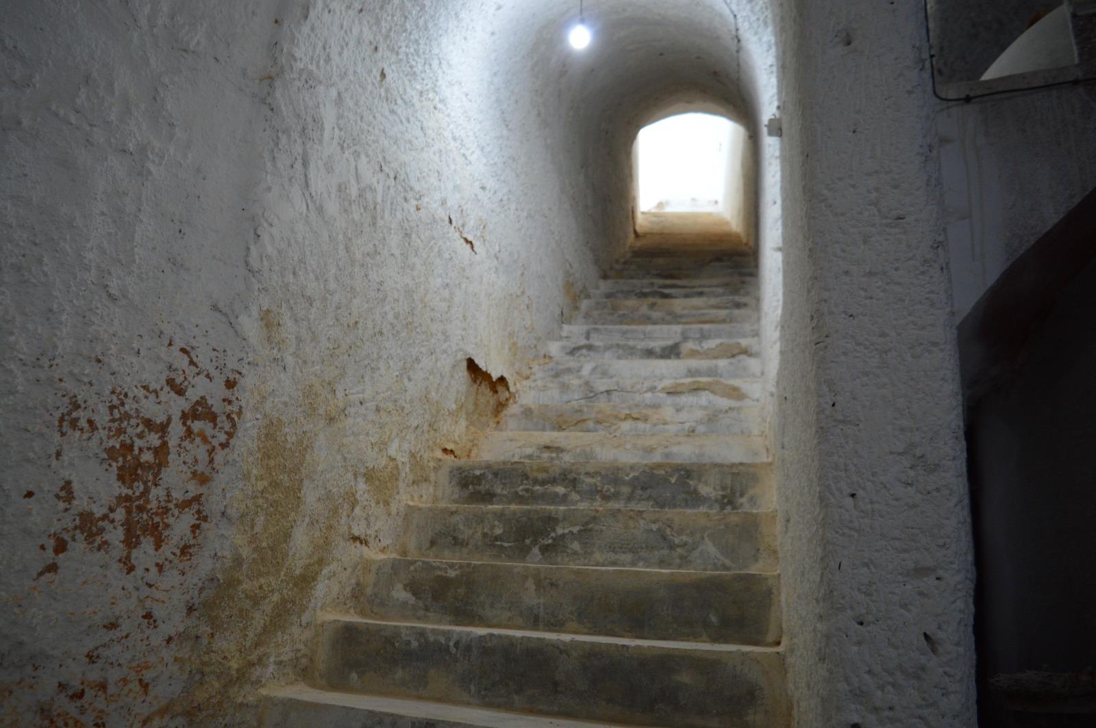 ob.imagen.Descripcion