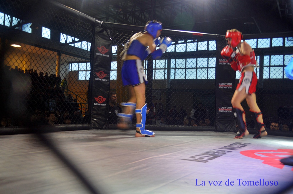 ob.imagen.Descripcion