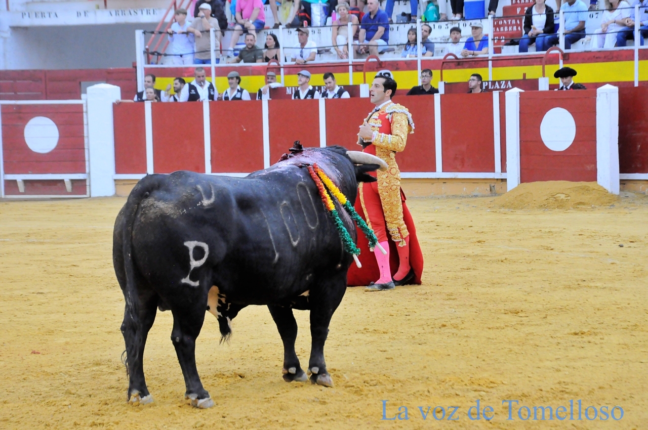 ob.imagen.Descripcion