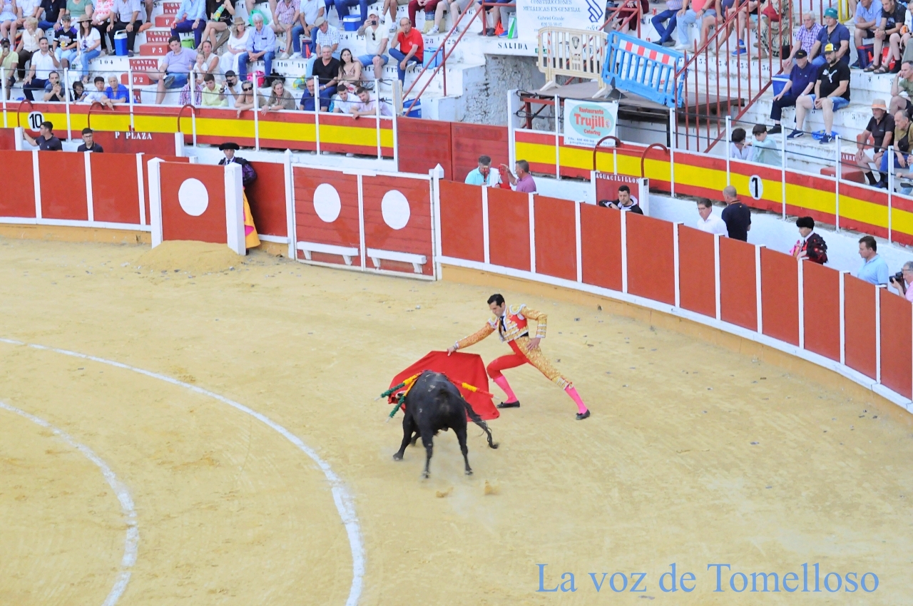 ob.imagen.Descripcion