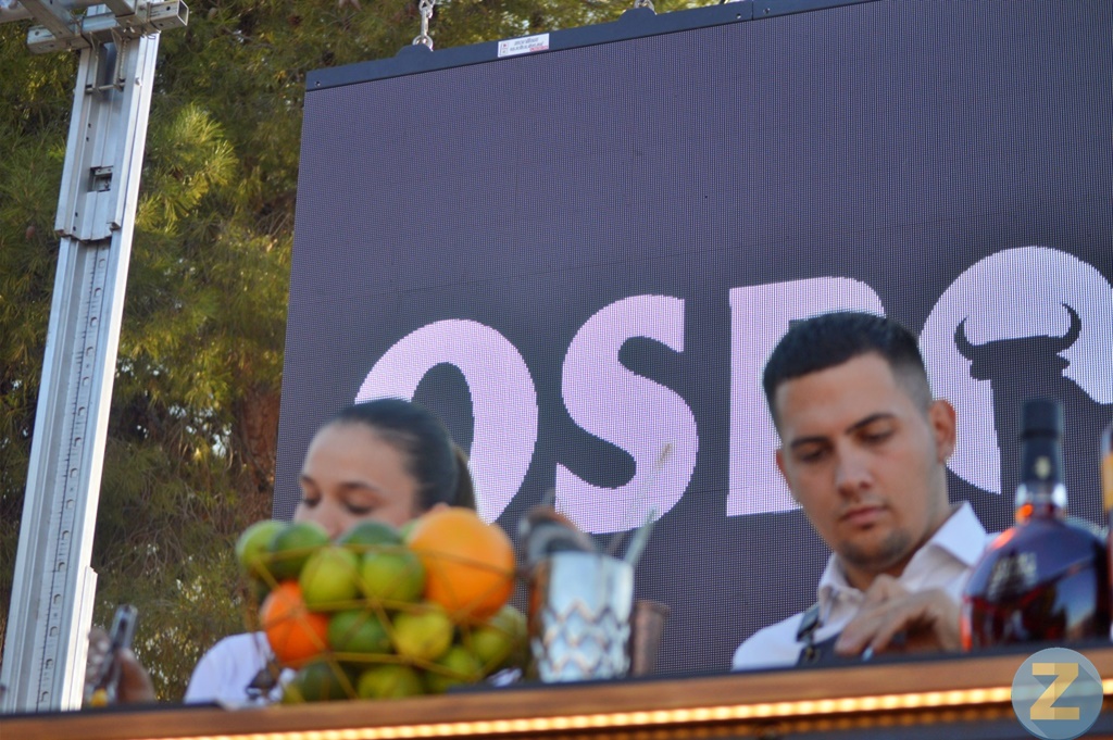 ob.imagen.Descripcion