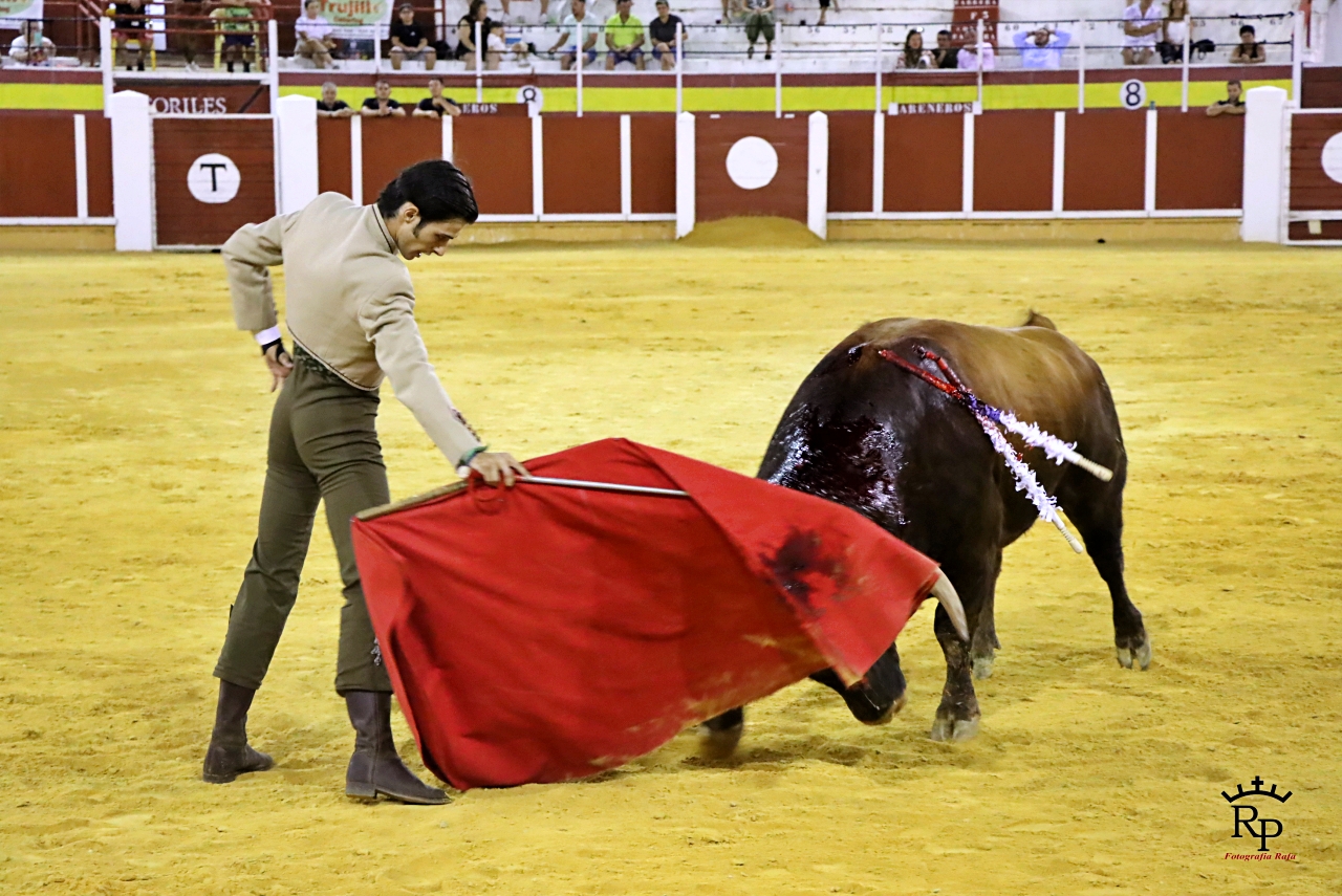 ob.imagen.Descripcion