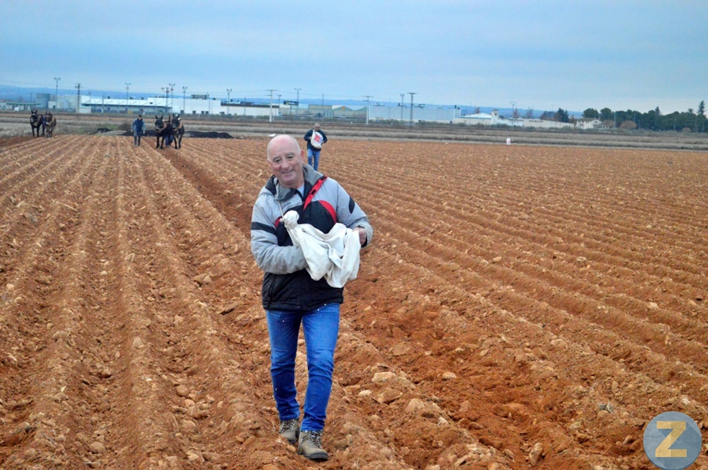 ob.imagen.Descripcion