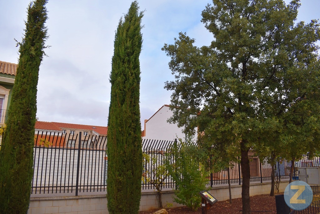 ob.imagen.Descripcion