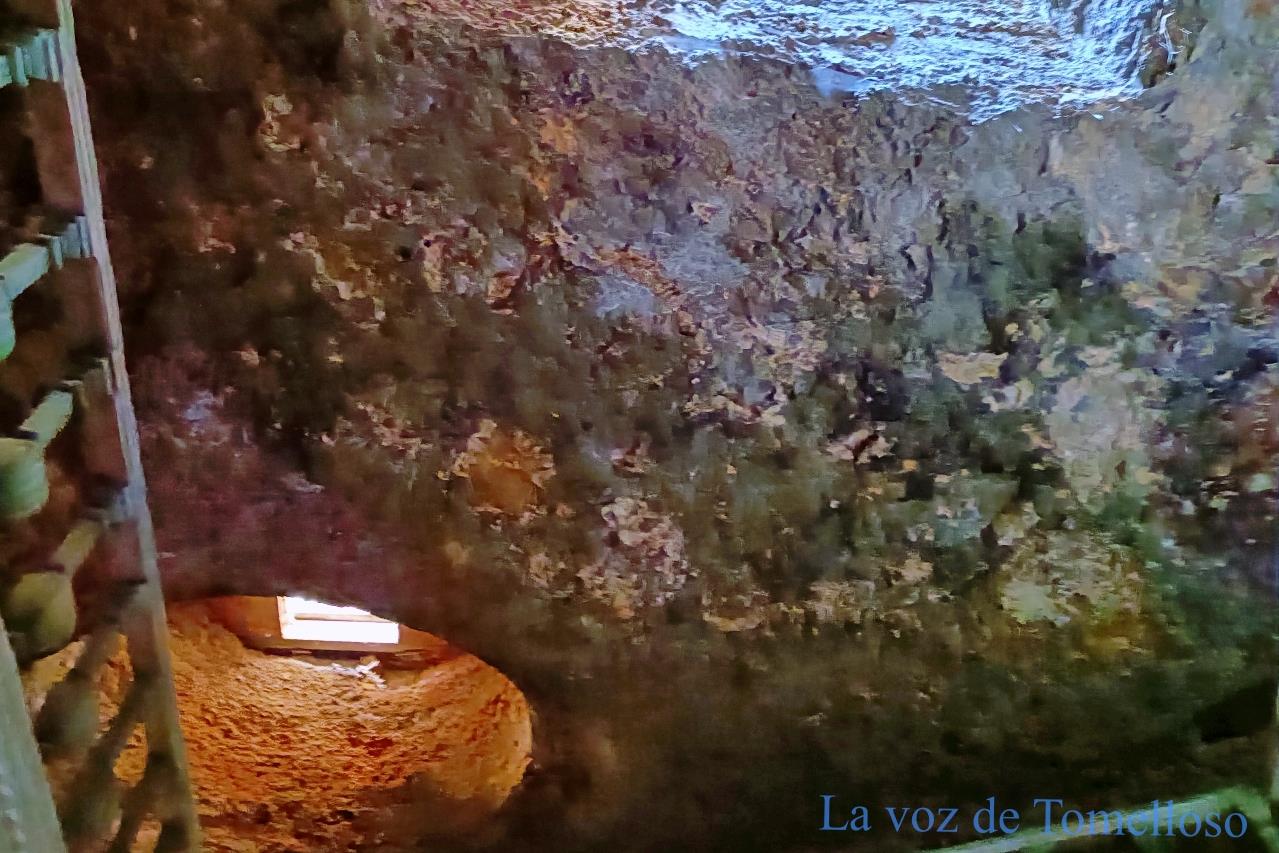 ob.imagen.Descripcion