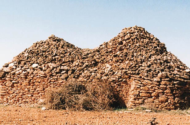 ob.imagen.Descripcion