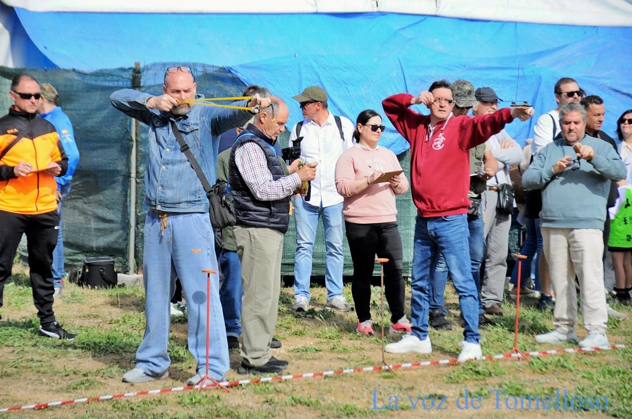 ob.imagen.Descripcion